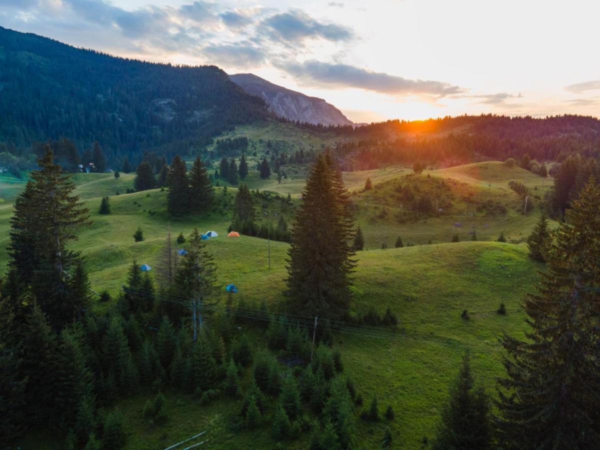 Nadgora SkyHouse Lägenhet Žabljak Exteriör bild